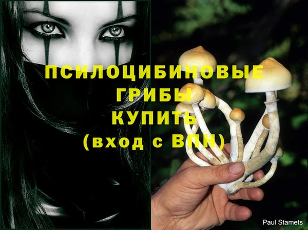 скорость Аркадак