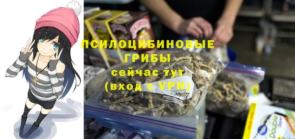 мескалин Арсеньев